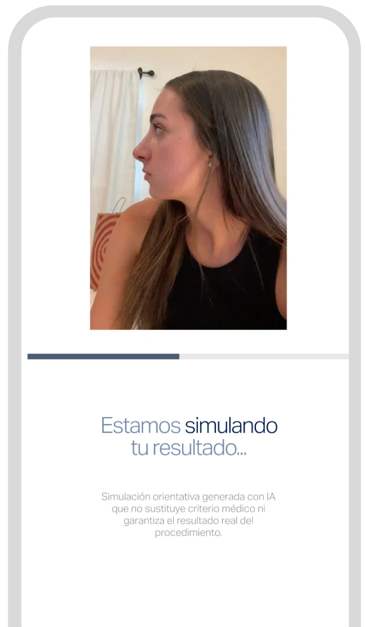 Pantalla de espera mientras se genera la simulación.